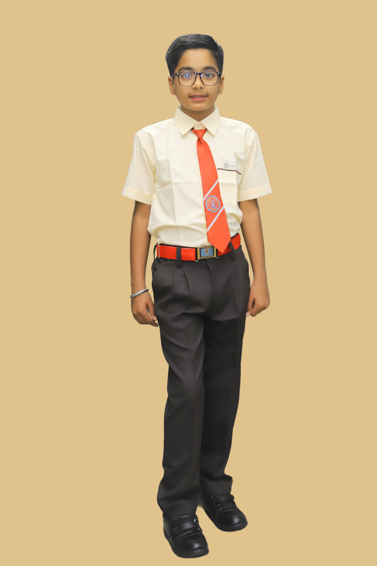 Carmel Convent Hr. Sec. School - Image 4